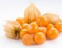 สูตร Physalis ดองในฤดูหนาว