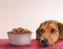 Qual comida de cachorro é melhor?