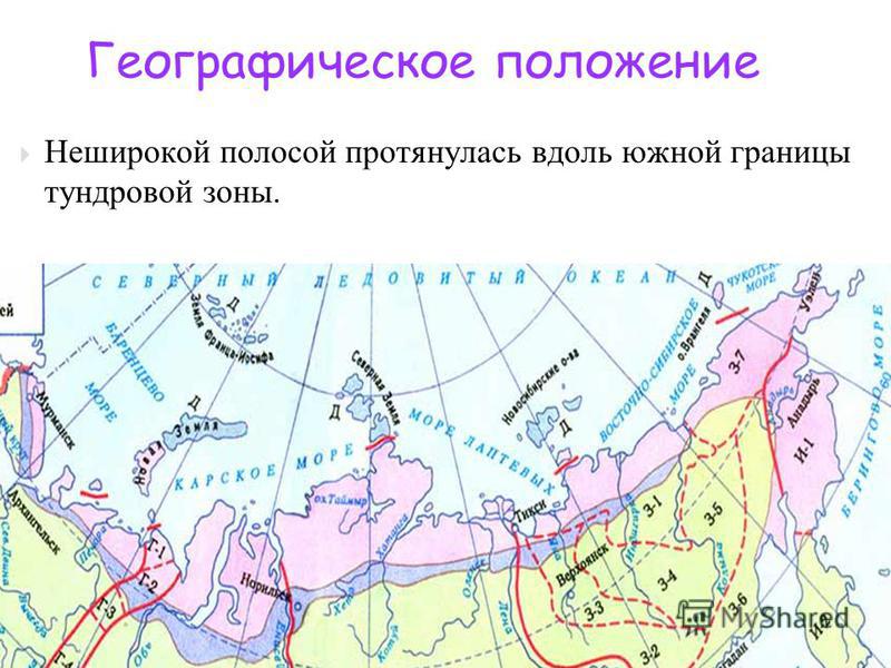 Карта тундры. Географическое положение тундры в России. Положение зоны тундры. Географическое положение зоны тундры. Тундра географическое положение в России на карте.