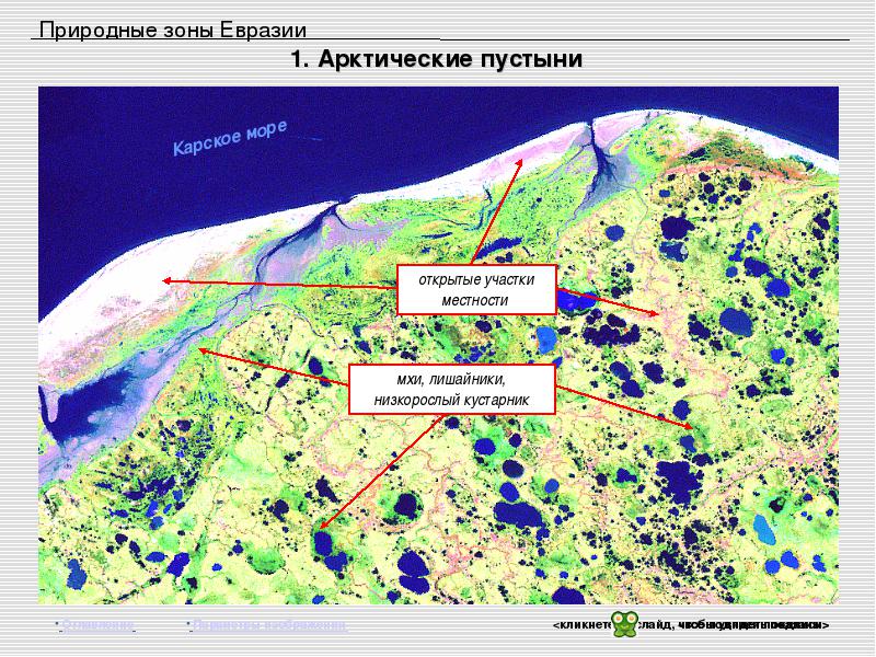 Арктические пустыни описание природной зоны по плану